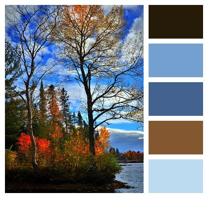Colors Autumn Landscape Fall Image